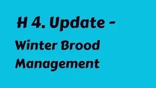 H 4. Update - Winter Brood Management  #Experimental-st
