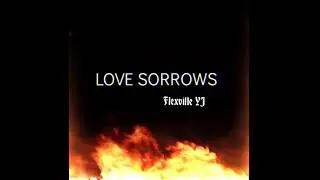 FLEXVILLE YJ - LOVE SORROWS(official audio)