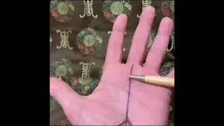 Palmistry ~ The Fate Line ~ Jim Winter