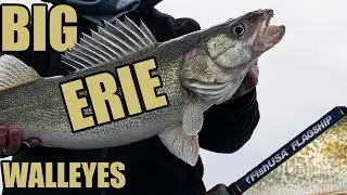 Jigging for BIG Lake Erie Walleye with our NEW Rods! Lake Erie Walleye Fishing Tips & Tricks