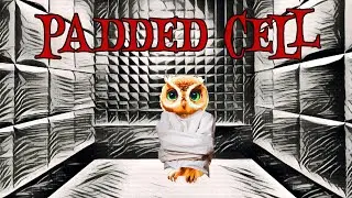 Padded Cell: We Survived Snowpocalypse January 2026