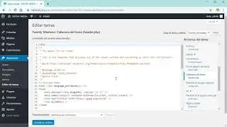 How to put Javascript in WordPress