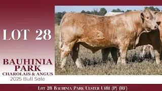 Lot 28 Bauhinia Park Ulster U181 (P) (RF)