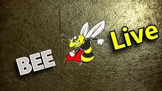 BEE Live VLOG#3   Ресторан   конфиренц зал Fame и группа JAY