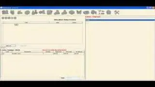 Allocate Sales Invoice