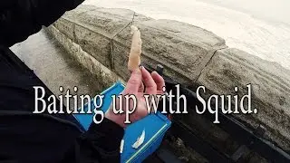 Baiting up with Squid.