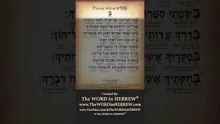 Psalm 119:9-16 in Hebrew - Fluent Reading