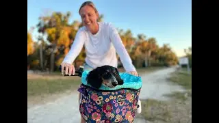 NEW | Pinellas Dog Friendly Bike Basket