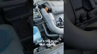 Golf 4 1.4L Motor l&auml;uft unruhig - woran liegt es ?