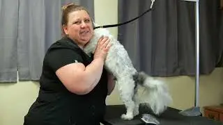 Difficult Dog Demo