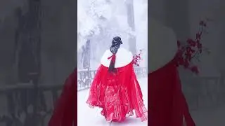 Song system with Han element cape is too fairy，Chinese traditional clothing
