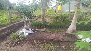 royongan membersihkn lahan kosong 