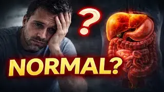 &ldquo;Reports Normal&hellip; फिर भी Body सुस्त? Gut&ndash;Liver Damage का असली कारण&rdquo;