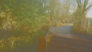 Mein Spaziergang am 8  Februar 2026 in Steinhagen