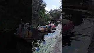 Steel Drum Floatilla #christmas #cavalcade  at #disney #animalkingdom #shorts