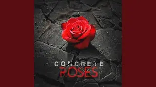 Concrete Roses