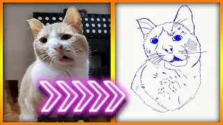 Time Warp Scan Animals - Cats compilation 2021 pt 19
