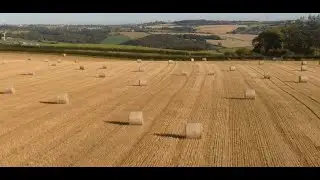 Hay bales at Coal Aston