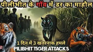 Pilibhit में TIGRESS ने मचाया कोहराम | PILIBHIT ATTACKS | CORBETT TALES #tiger
