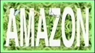 Boeboe - Amazon Basin'