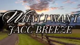 WHAT I WANT FREESTYLE - JACC BREEZE