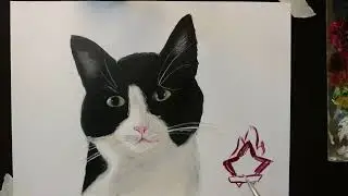 Cat hero saved the family from hunger / war / stories in drawings oil painting