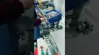 Ersatzteile Automatische Durchflusstyp Taschen Verpackungs Verpackungsmaschine Test Videos