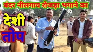 बंदर,नीलगाय,रोजड़ा भगाने का देसी जुगाड़। जंगली जानवर भगाने का देसी जुगाड़Nilgay bhagne ka desi jugad