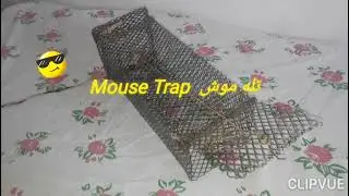 Best mouse traps 2020 👌خیلی ساده Rat trap mouse  تله موش دست ساز Best mouse trap بهترین تله موش دنیا