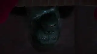 The Gorilla Who Stole Christmas