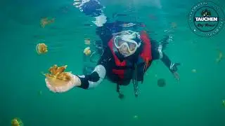 TAUCHEN on TOUR - Zu Besuch auf Virgin Cocoa/Maratua Atoll/Indonesien