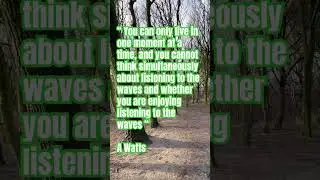 Alan Watts  Wisdom of Insecurity #motivation #universe #alanwatts