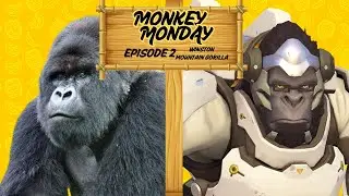 Monkey Monday Episode 2: Winston & Mountain Gorilla