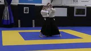 Gyaku hanmi iriminage ura jodan