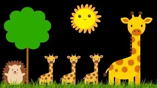 Baby Sensory Video - Tummy Time - Sensory Videos for Babies - Visual Stimulation for Newborn #baby