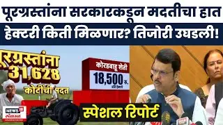 Maharashtra Relief Package News | पूरग्रस्त शेतकऱ्यांसाठी किती कोटींचं पॅकेज जाहीर? Special Report