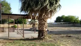 Deserted foreclosure Avondale AZ June 2011 during the depths of the recession