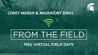 CMERC Migratory Birds Virtual Field Day - Educational & Outreach at CMERC