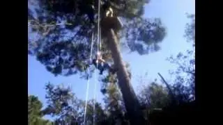 Ultra Safari go ape at Lostworld-Marbella