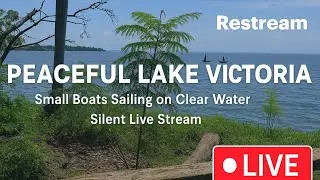 Peaceful Lake Victoria View 🌿 | Small Boats Sailing on Clear Water | Silent Live Stream