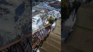 Determination , Mentally and Physically Strong Digging out of the snow: NY
