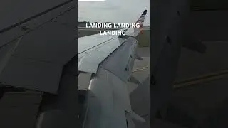 LANDING LANDING LANDING #airport #subscribe #pls #kyle #plsss #samtabor #thingies #toronto