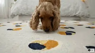 Handcrafted Wool Round Rug for Living Room & Bedroom | Modern Geometric Carpet Design | THTRO07