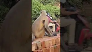#funnyvideos #funny #sofikviddeo #banglafunny #song #sofikr #comedy