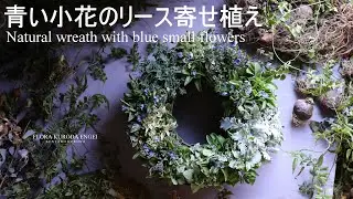 寄せ植え／青い小花のリース【冬のガーデニング】ワスレナグサを使って-フローラ黒田園芸-4K ULTRA HD