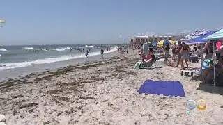 Season Beach Tags For 2021 Summer Season In Ocean City Go On Sale Saturday