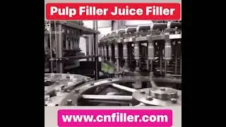 Pulp Filler Juice Filler 4 in 1