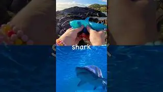 Дети учатся | Названия морских животных: рыба-фугу, шипоспинный скат, акула-нянька, черепаховая а...