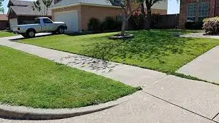 Greenworks RM1400 Lawn Mower, 14-Inch, Green review
