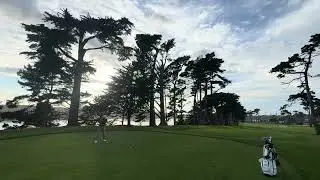 TPC Harding Park #usfdons golf 